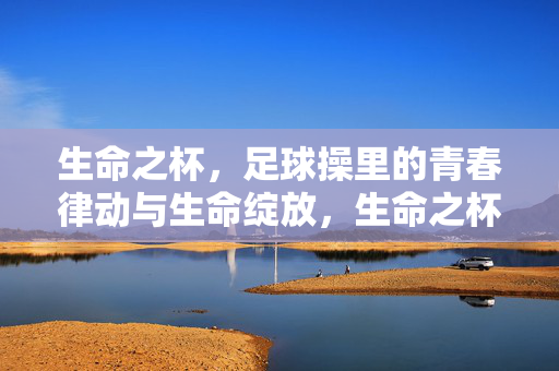 生命之杯，足球操里的青春律动与生命绽放，生命之杯，足球操里的青春律动与生命绽放