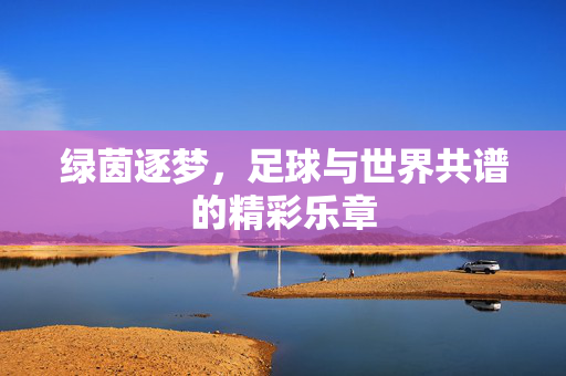 绿茵逐梦，足球与世界共谱的精彩乐章