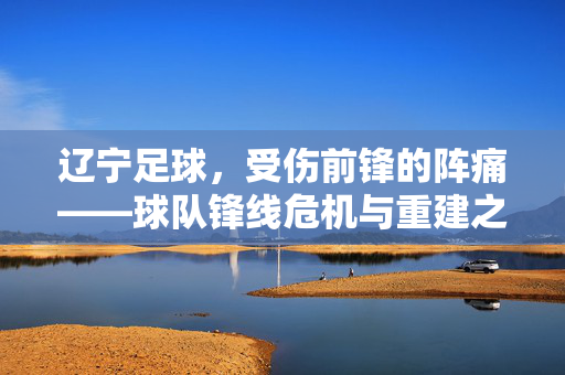 辽宁足球,受伤前锋的阵痛——球队锋线危机与重建之路
