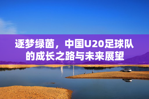 逐梦绿茵，中国U20足球队的成长之路与未来展望