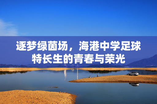 逐梦绿茵场，海港中学足球特长生的青春与荣光
