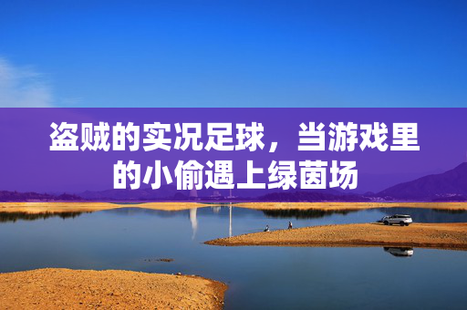 盗贼的实况足球，当游戏里的小偷遇上绿茵场