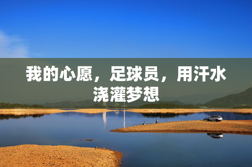 我的心愿，足球员，用汗水浇灌梦想