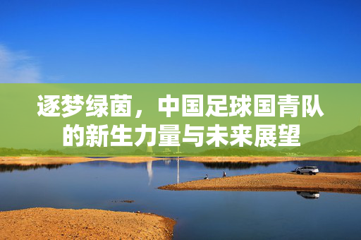 逐梦绿茵，中国足球国青队的新生力量与未来展望