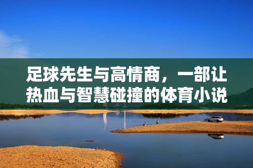 足球先生与高情商，一部让热血与智慧碰撞的体育小说新篇，足球先生与高情商，热血与智慧碰撞的体育小说新篇