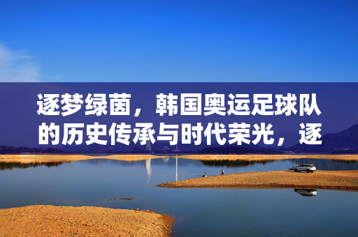 逐梦绿茵，韩国奥运足球队的历史传承与时代荣光，逐梦绿茵，韩国奥运足球队的历史传承与时代荣光