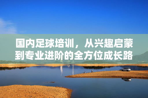 国内足球培训，从兴趣启蒙到专业进阶的全方位成长路径，国内足球培训，从兴趣启蒙到专业进阶的全方位成长路径