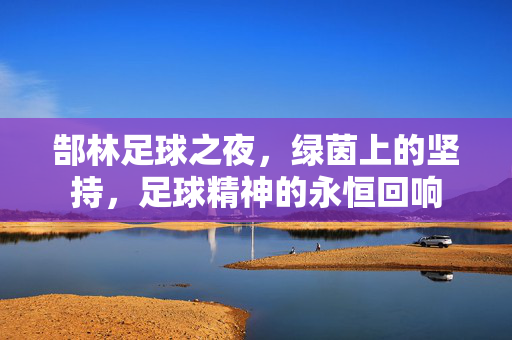 郜林足球之夜，绿茵上的坚持，足球精神的永恒回响