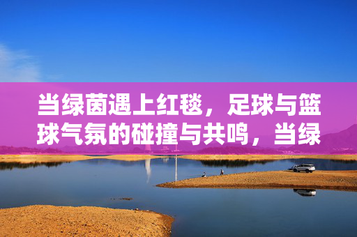 当绿茵遇上红毯，足球与篮球气氛的碰撞与共鸣，当绿茵遇上红毯，足球与篮球气氛的碰撞与共鸣