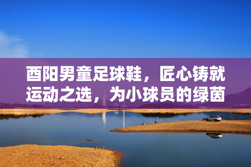 酉阳男童足球鞋，匠心铸就运动之选，为小球员的绿茵梦想赋能，酉阳男童足球鞋，匠心铸就运动之选，为小球员的绿茵梦想赋能