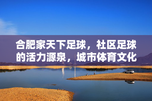 合肥家天下足球，社区足球的活力源泉，城市体育文化的新地标，合肥家天下足球，社区足球的活力源泉，城市体育文化的新地标