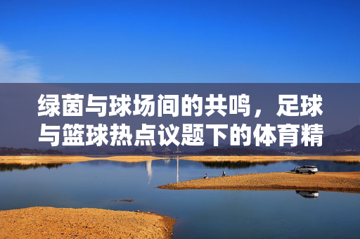 绿茵与球场间的共鸣，足球与篮球热点议题下的体育精神新诠释，绿茵与球场共鸣，足球篮球热点下的体育精神新诠释