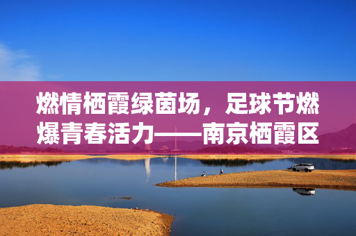 燃情栖霞绿茵场，足球节燃爆青春活力——南京栖霞区足球节精彩回顾与展望，燃情栖霞绿茵场，足球节燃爆青春活力——南京栖霞区足球节精彩回顾与展望