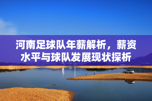 河南足球队年薪解析，薪资水平与球队发展现状探析