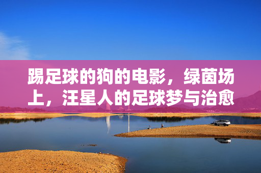 踢足球的狗的电影，绿茵场上，汪星人的足球梦与治愈力量