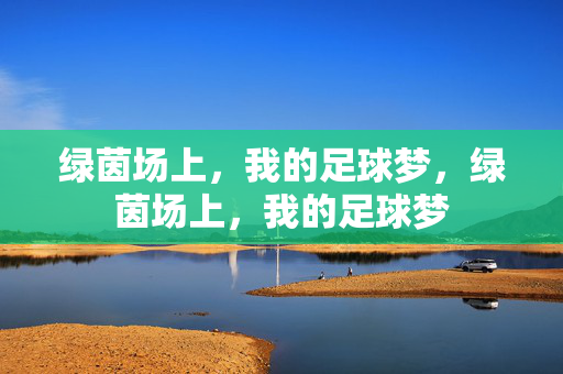 绿茵场上，我的足球梦，绿茵场上，我的足球梦