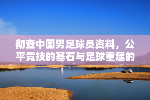 彻查中国男足球员资料，公平竞技的基石与足球重建的必由之路，彻查中国男足球员资料，公平竞技的基石与足球重建的必由之路