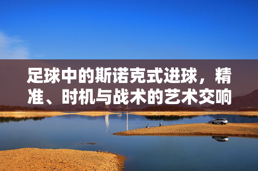 足球中的斯诺克式进球，精准、时机与战术的艺术交响，足球中的斯诺克式进球，精准、时机与战术的艺术交响