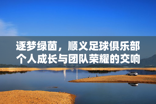逐梦绿茵，顺义足球俱乐部个人成长与团队荣耀的交响曲