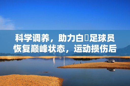 科学调养，助力白祙足球员恢复巅峰状态，运动损伤后的恢复策略与训练优化