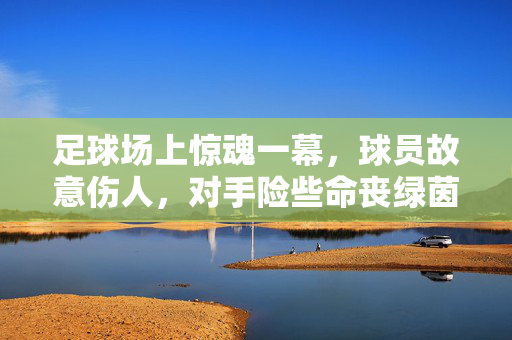 足球场上惊魂一幕，球员故意伤人，对手险些命丧绿茵，足球场上惊魂一幕，球员故意伤人，对手险些命丧绿茵