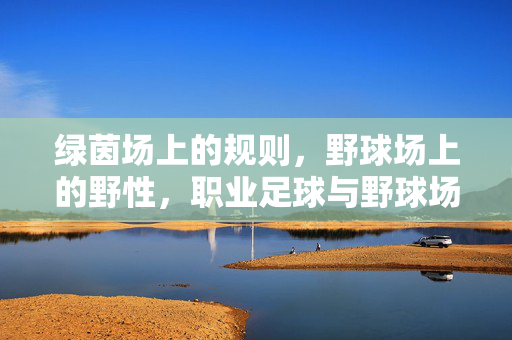绿茵场上的规则，野球场上的野性，职业足球与野球场上的热爱共鸣，绿茵规则与野场野性共鸣，职业足球与野球场上的热爱
