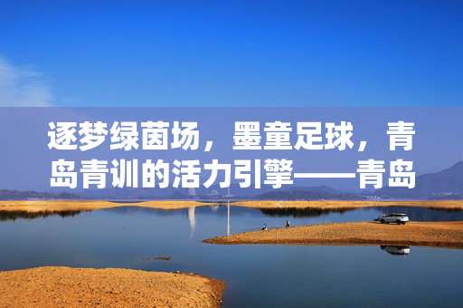 逐梦绿茵场，墨童足球，青岛青训的活力引擎——青岛墨童足球俱乐部发展纪实