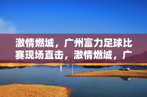 激情燃城，广州富力足球比赛现场直击，激情燃城，广州富力足球比赛现场直击