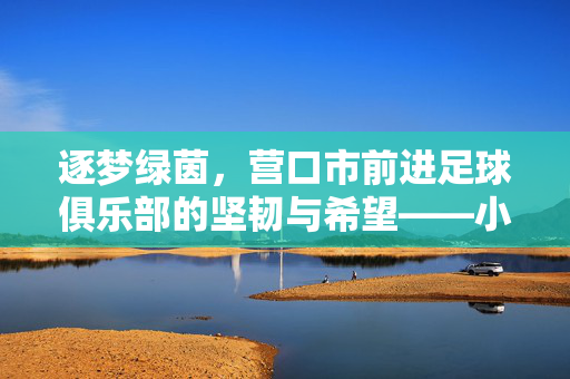 逐梦绿茵，营口市前进足球俱乐部的坚韧与希望——小城足球的活力样本，逐梦绿茵，营口市前进足球俱乐部的坚韧与希望——小城足球的活力样本
