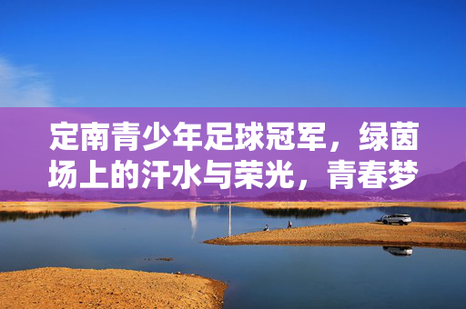 定南青少年足球冠军，绿茵场上的汗水与荣光，青春梦想的绽放