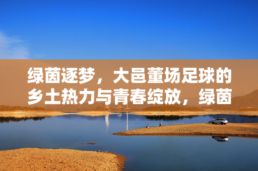 绿茵逐梦，大邑董场足球的乡土热力与青春绽放，绿茵逐梦，大邑董场足球的乡土热力与青春绽放