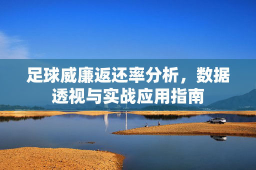 足球威廉返还率分析，数据透视与实战应用指南