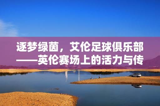 逐梦绿茵，艾伦足球俱乐部——英伦赛场上的活力与传承