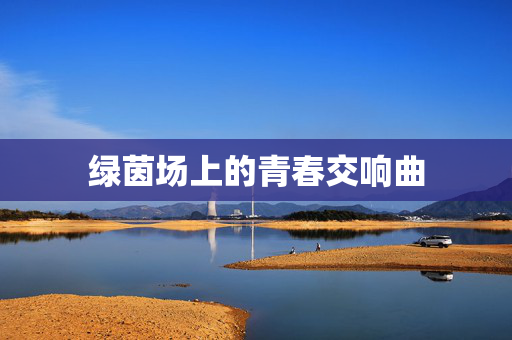 绿茵场上的青春交响曲