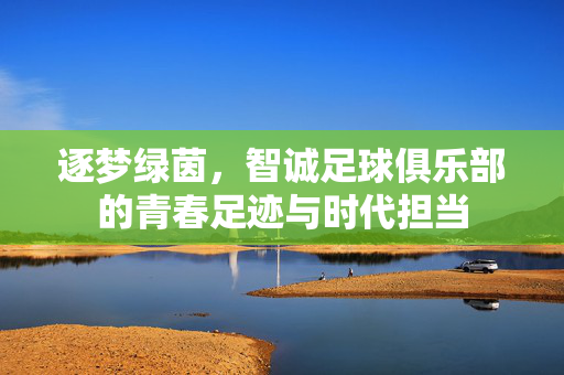 逐梦绿茵,智诚足球俱乐部的青春足迹与时代担当