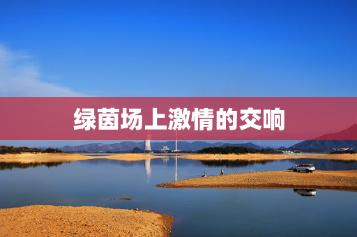 绿茵场上激情的交响