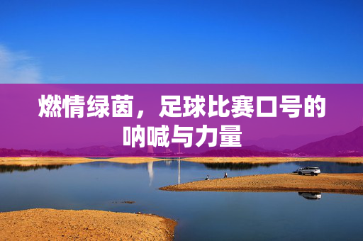 燃情绿茵，足球比赛口号的呐喊与力量
