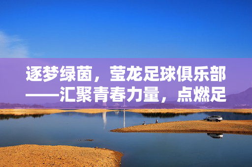 逐梦绿茵，莹龙足球俱乐部——汇聚青春力量，点燃足球激情的绿茵舞台