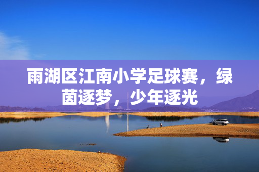 雨湖区江南小学足球赛，绿茵逐梦，少年逐光