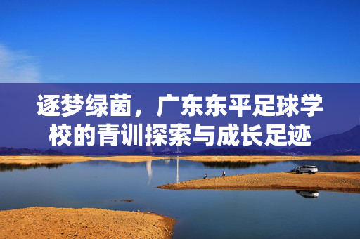 逐梦绿茵，广东东平足球学校的青训探索与成长足迹