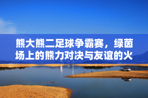 熊大熊二足球争霸赛，绿茵场上的熊力对决与友谊的火花，熊大熊二足球争霸赛，绿茵场上的熊力对决与友谊的火花