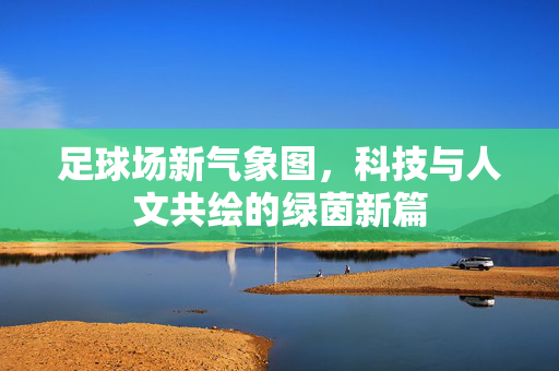 足球场新气象图，科技与人文共绘的绿茵新篇