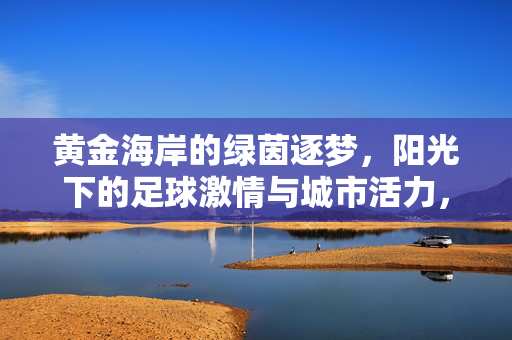 黄金海岸的绿茵逐梦，阳光下的足球激情与城市活力，黄金海岸的绿茵逐梦，阳光下的足球激情与城市活力