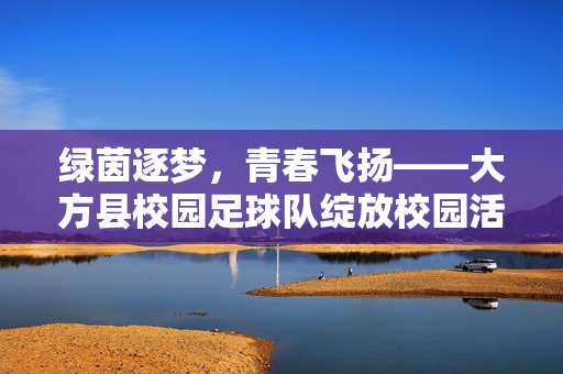 绿茵逐梦，青春飞扬——大方县校园足球队绽放校园活力与体育精神