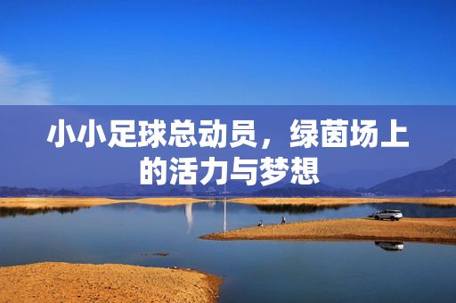 小小足球总动员，绿茵场上的活力与梦想