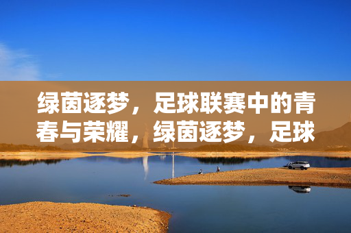 绿茵逐梦，足球联赛中的青春与荣耀，绿茵逐梦，足球联赛中的青春与荣耀