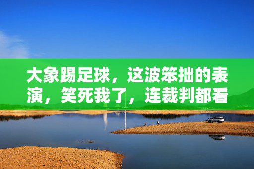 大象踢足球，这波笨拙的表演，笑死我了，连裁判都看懵了！