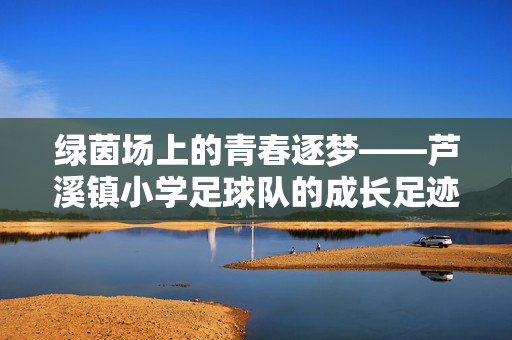 绿茵场上的青春逐梦——芦溪镇小学足球队的成长足迹，绿茵场上的青春逐梦——芦溪镇小学足球队的成长足迹