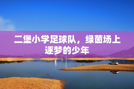 二堡小学足球队，绿茵场上逐梦的少年