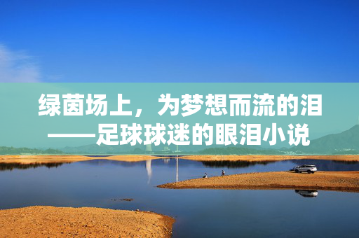 绿茵场上，为梦想而流的泪——足球球迷的眼泪小说